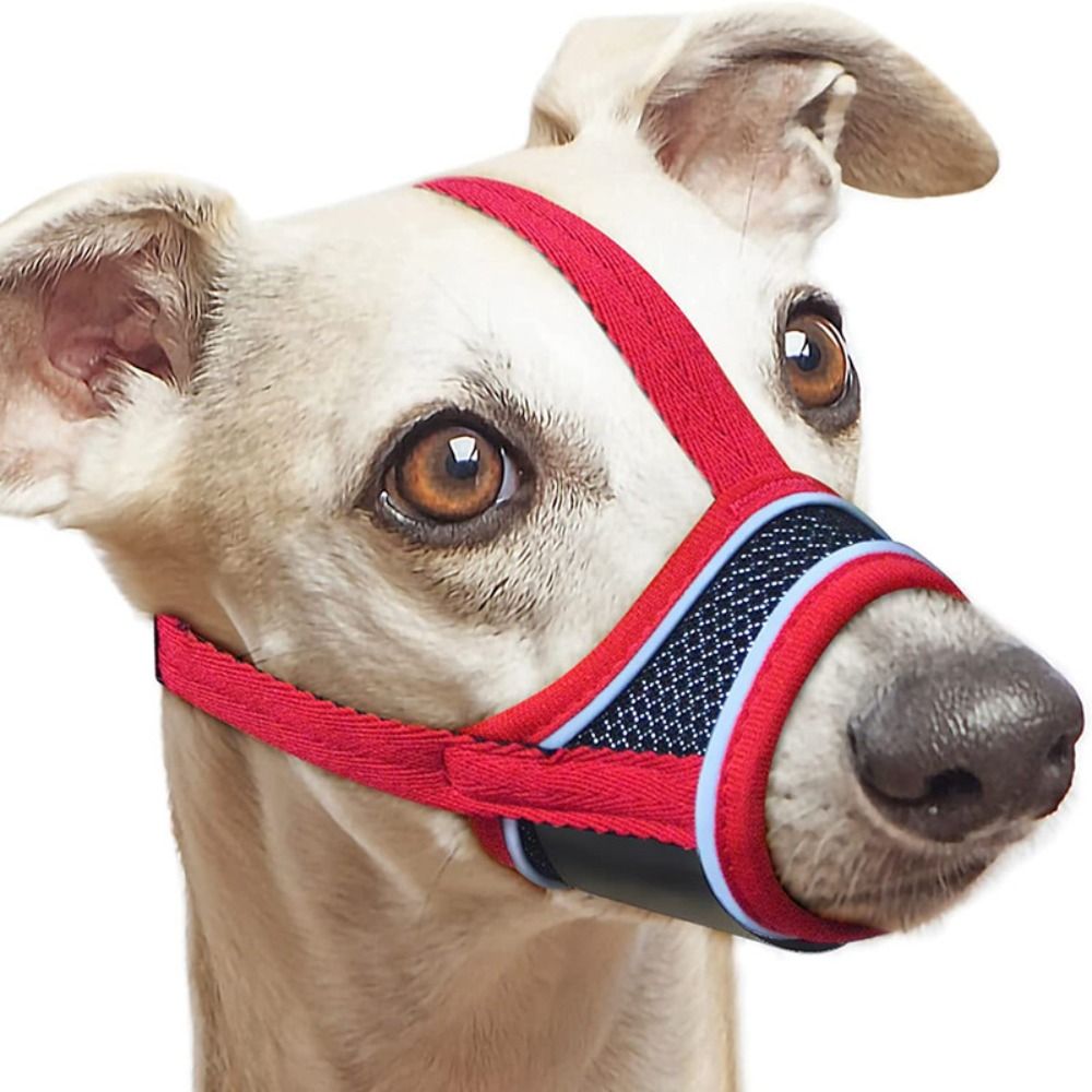 Mesh Strap Metal - Soft Fabric Adjustable Strap Pet mask